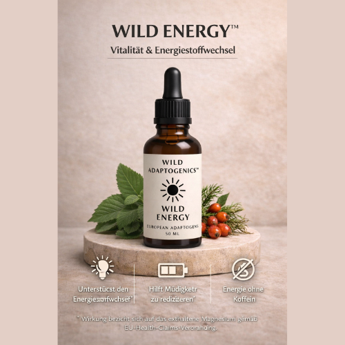 Wild Energy – Natürlicher Energiekick ohne Koffein