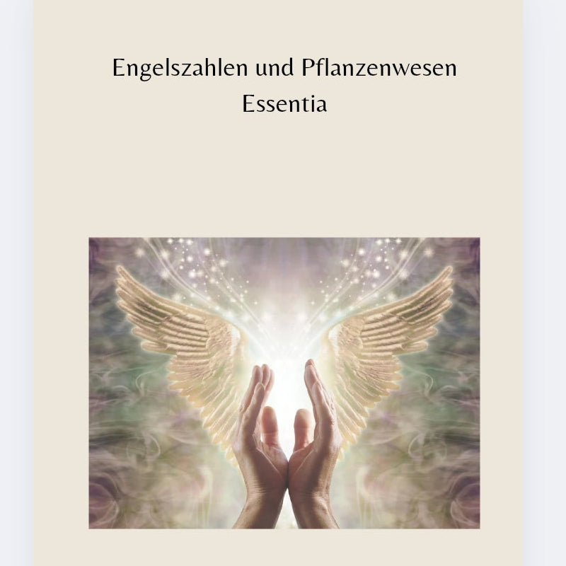 Engelszahlen & Pflanzenwesen