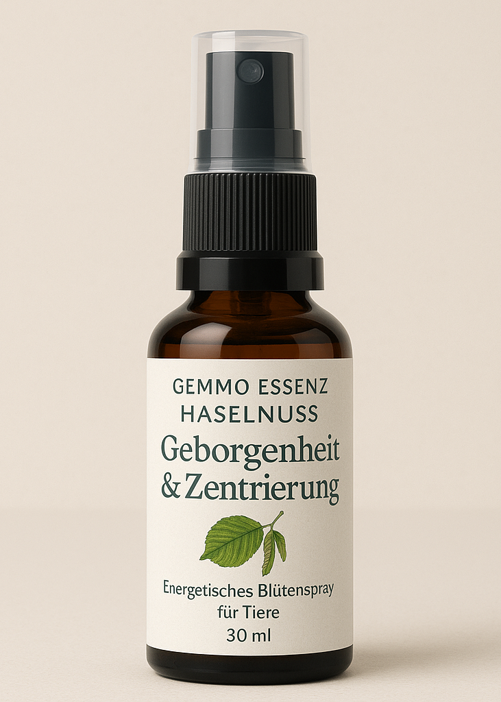Gemmo-Essenz Haselnuss