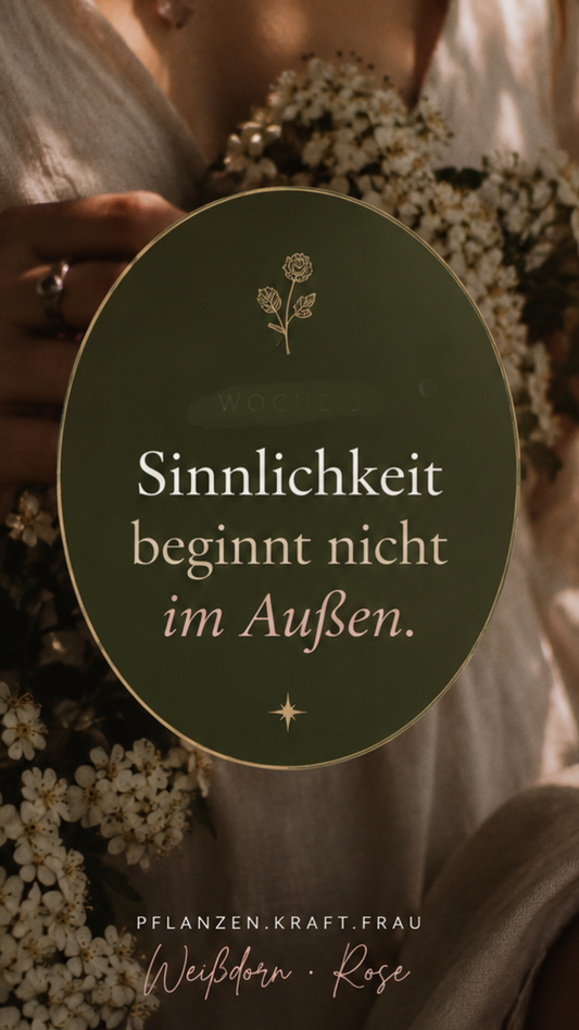Die Liebende & das Dornenherz