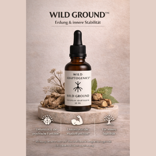 WILD DREAM™ – Abendroutine & Entspannung