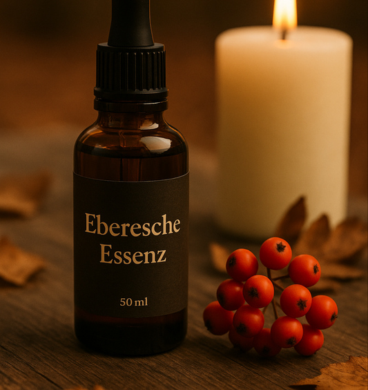 Eberesche Essenz