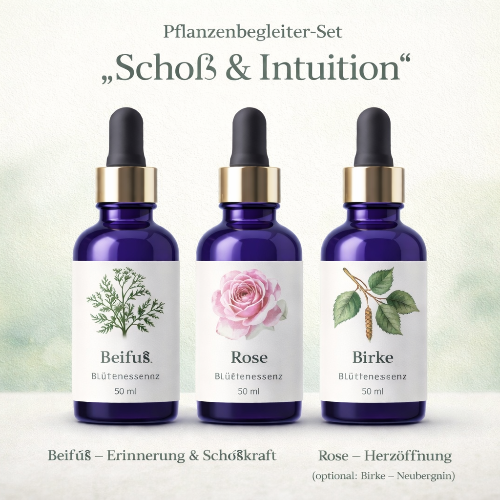 Pflanzenbegleiter-Set „Schoß & Intuition“