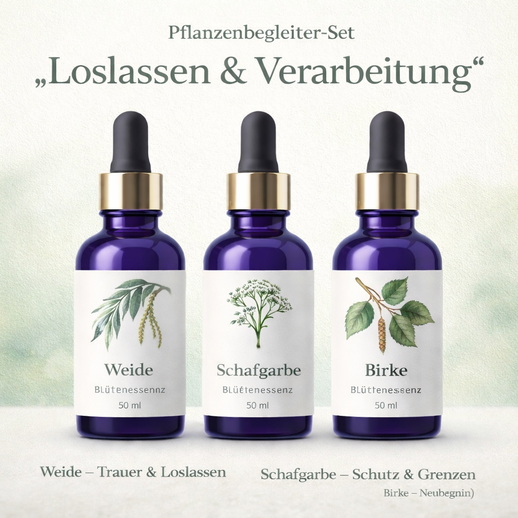 Pflanzenbegleiter-Set „Loslassen & Verarbeitung“