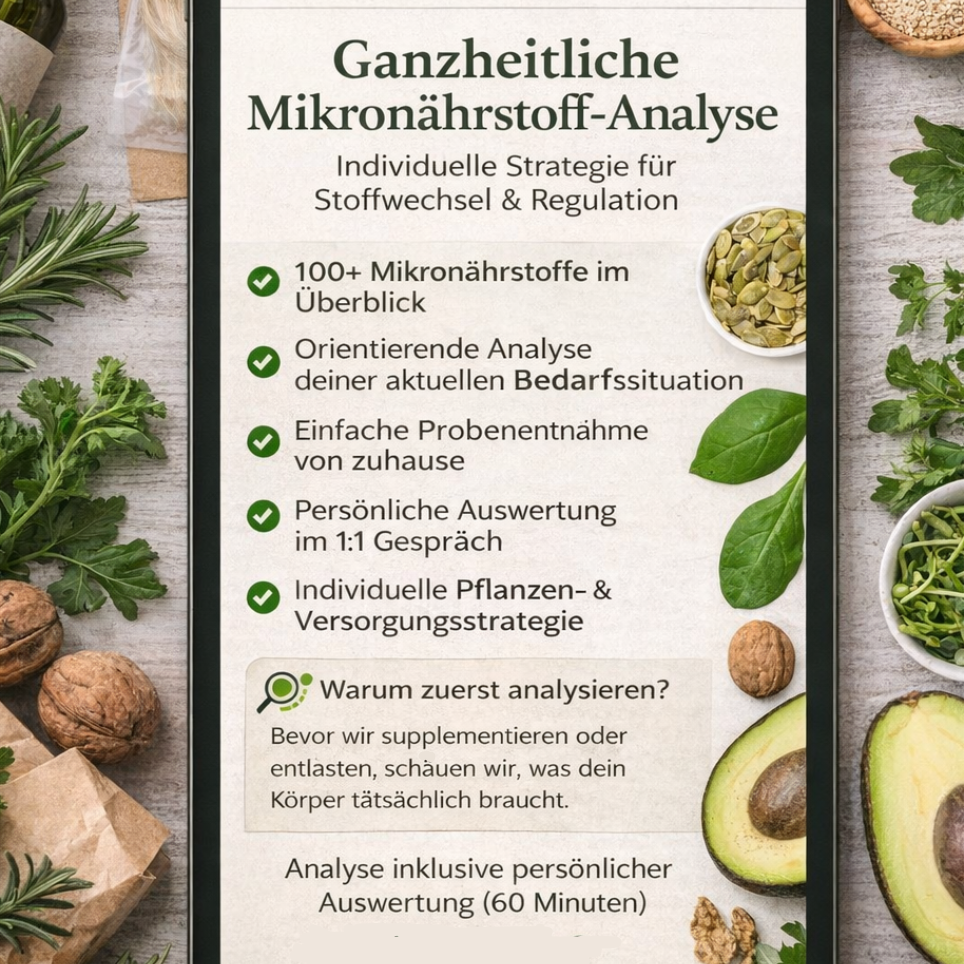 Haaranalyse inkl. Set – Ganzheitlicher Check-in für Körper & Regulation