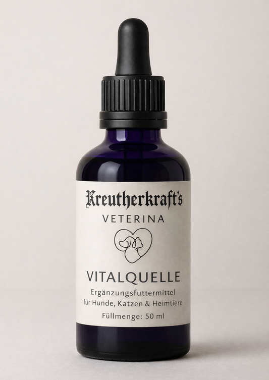 Vitalquelle Elixier