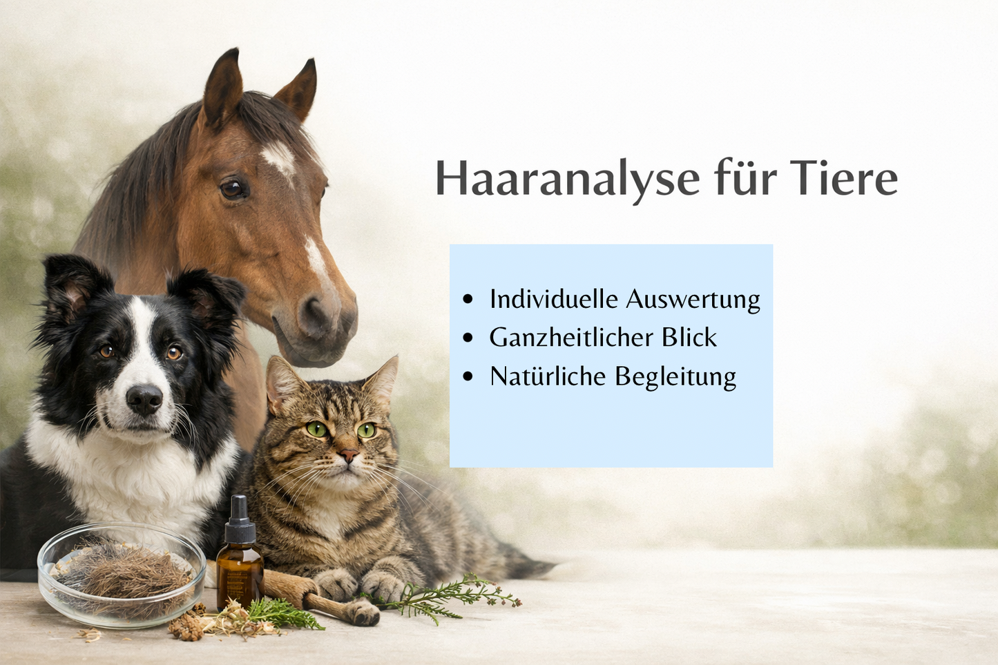 Haaranalyse für Tiere – Pflanzenbasierte Begleitung mit klarer Auswertung
