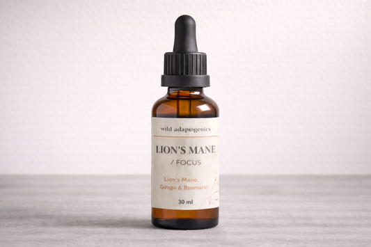 LION’S MANE / FOCUS DROPS