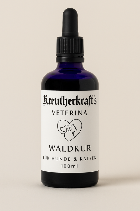 Waldkur Elixier